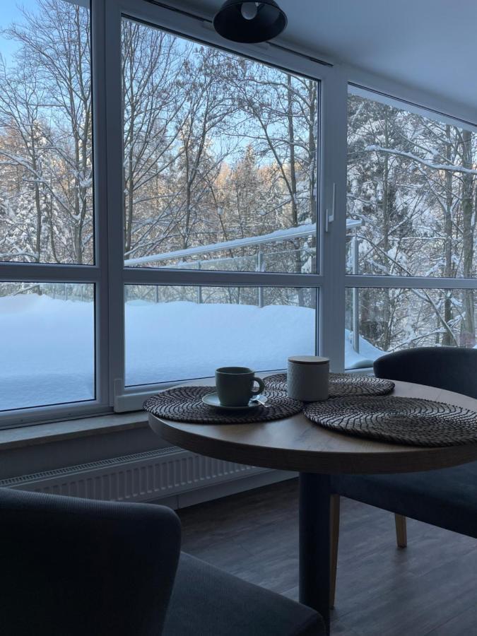 Apartament Kurort Kozubnik - Taras Nad Potokiem Porąbka Exterior foto